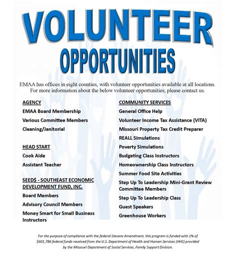 volunteer work examples.